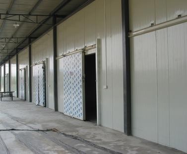 太仓蔬菜冷库造价