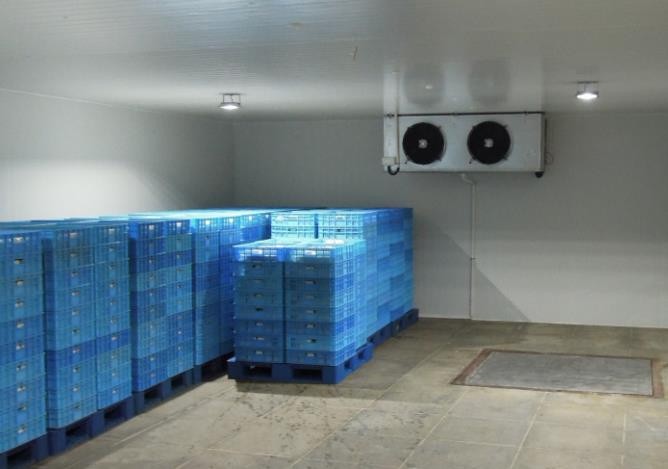 常熟蘑菇冷库厂家