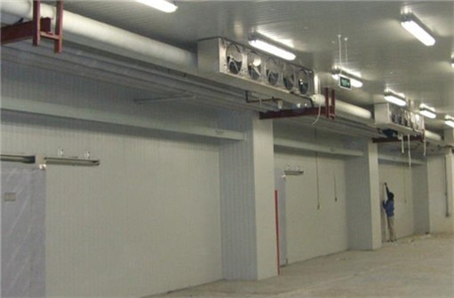 南通50吨冷库厂家