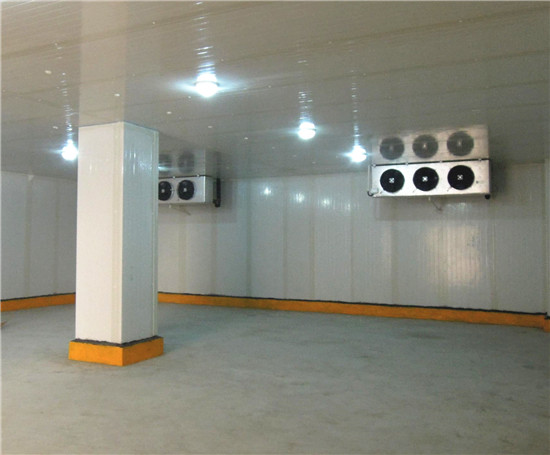 小型保鲜冷库